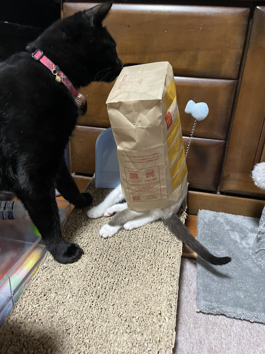 ㋫ロビンエンジン𓅫 (@Rabbit_pump) on X