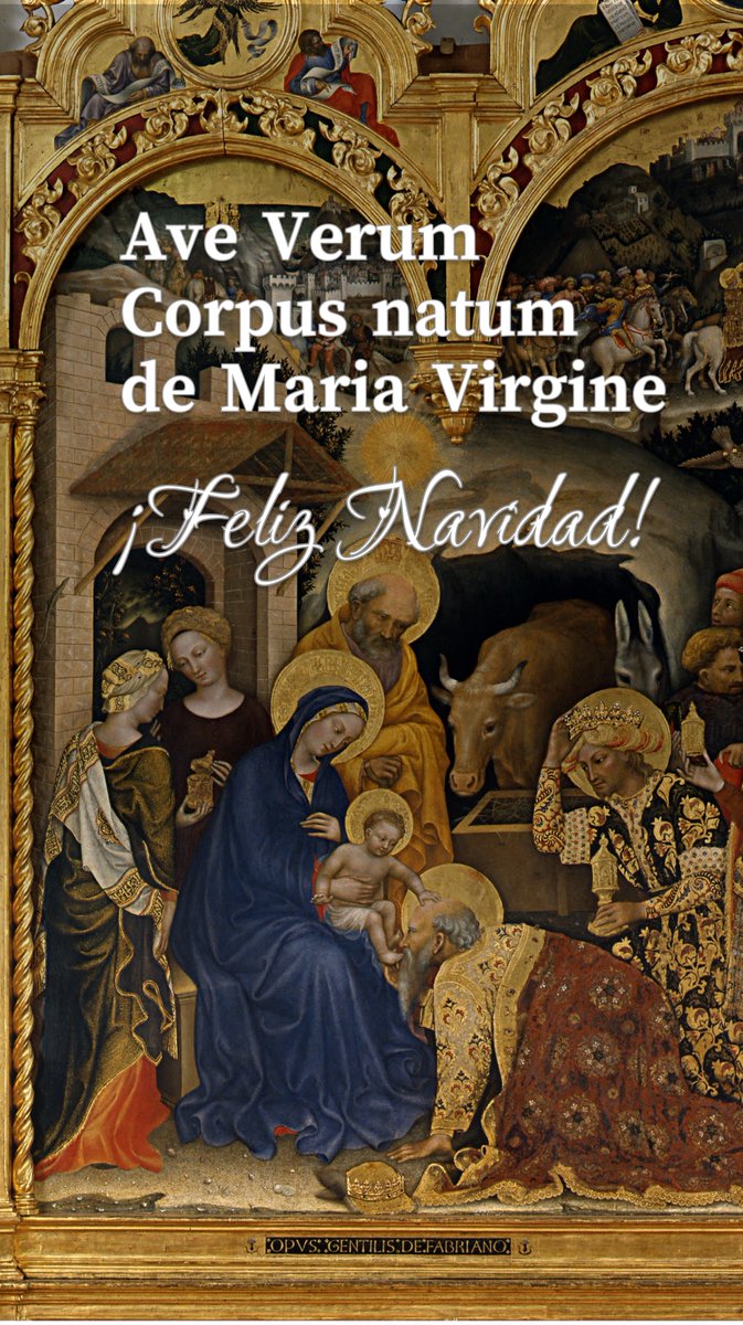 Matías Sicardi 🇦🇷 (@matiassicardi) on Twitter photo 