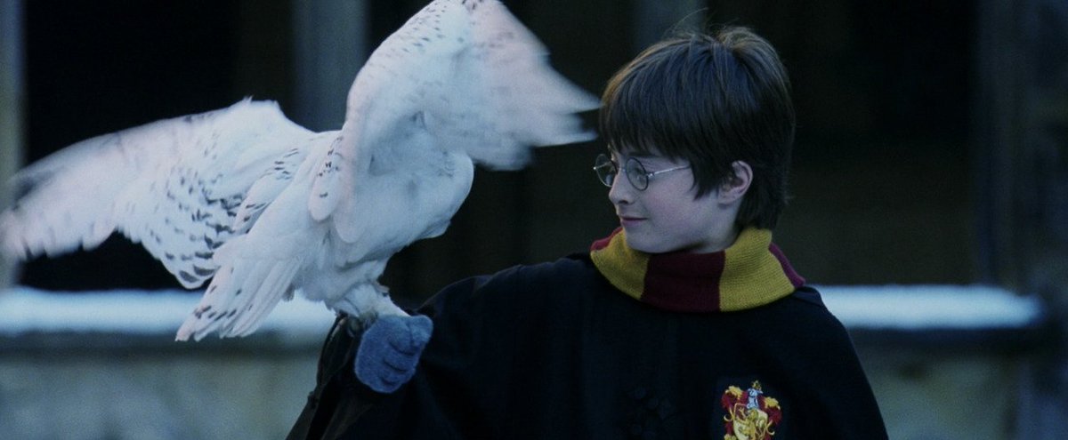 cinesthetic. tweet media