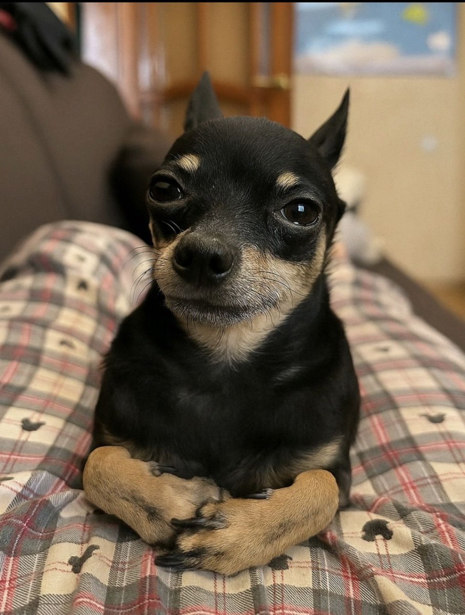 twaniimals's tweet image. 