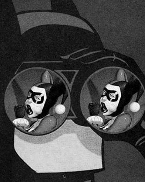 TheBatHome's tweet image. 