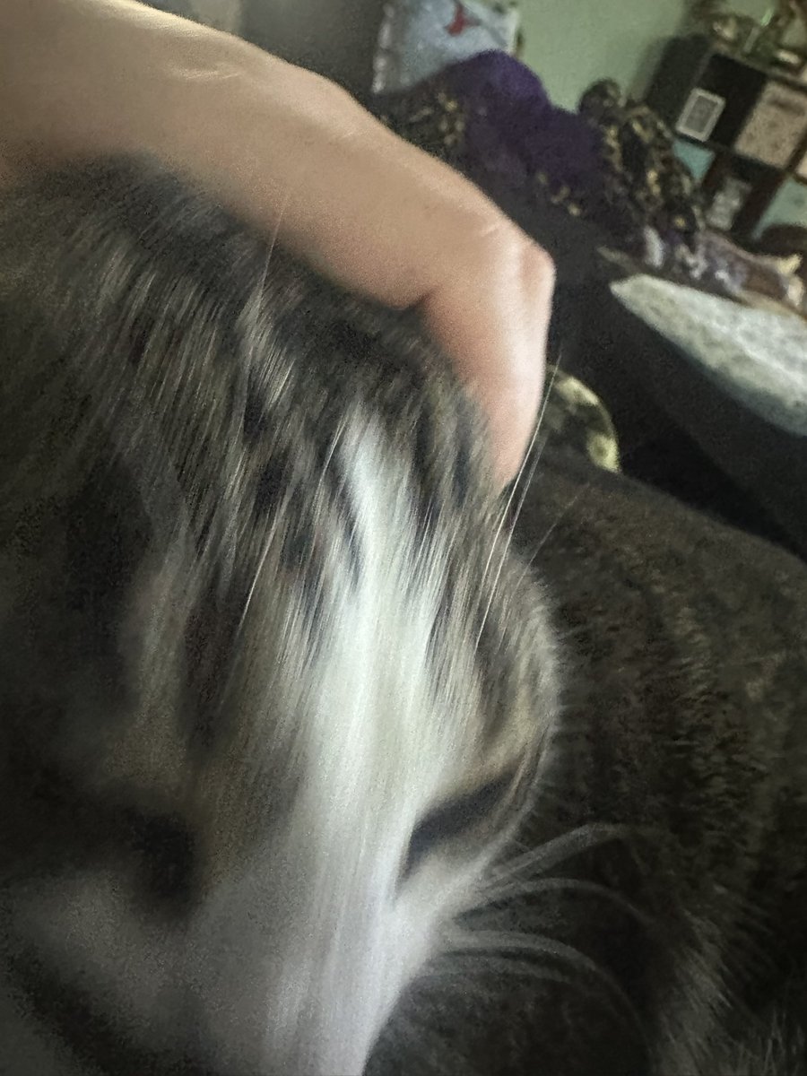 Linkin 💙Annie🌈 tweet media