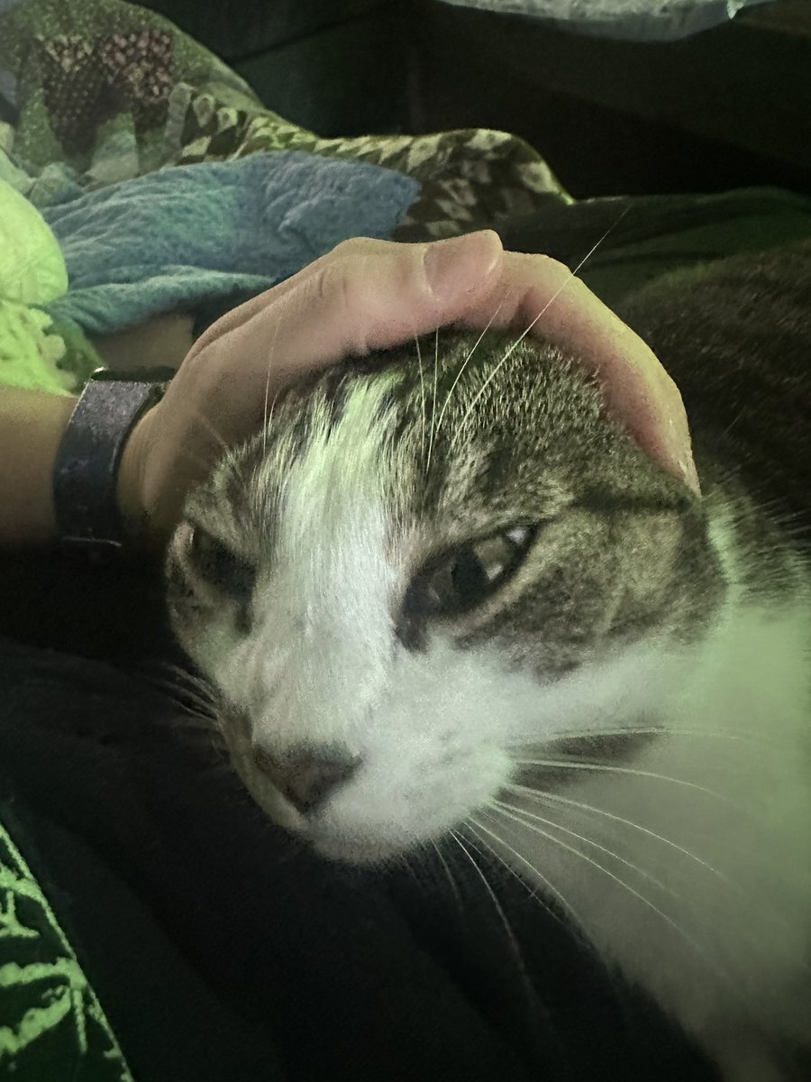 Linkin 💙Annie🌈 tweet media