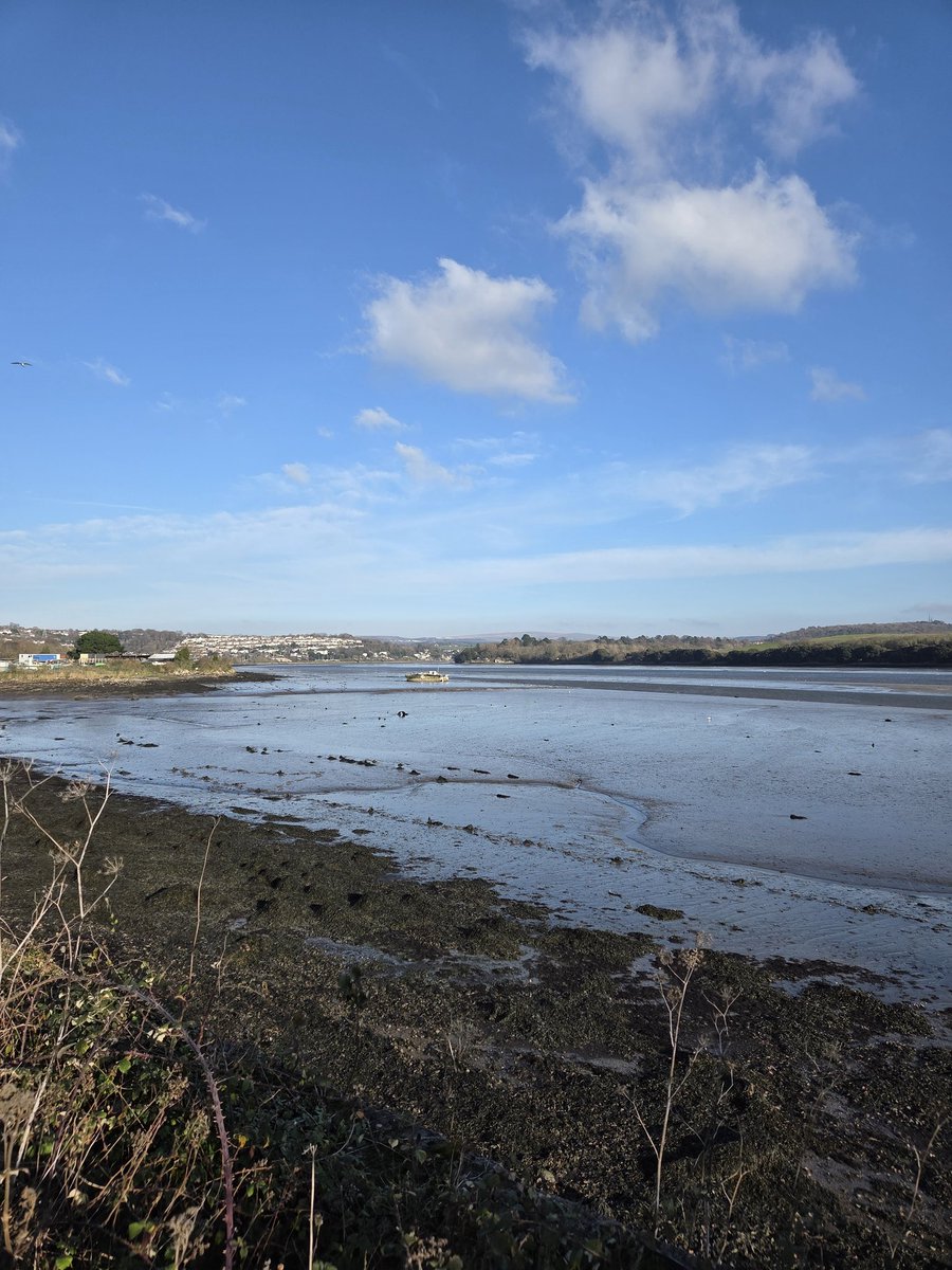 Ian Carmichael tweet media