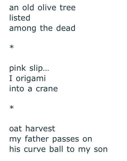 AdLibby1's tweet image. An #Advent of #haiku
Day 24
Today 3 ku published in Frogpond.
I have throughly enjoyed reaching into my 2025 personal archive. Many thanks to everyone who has published, read, commented on my haiku this year. 
FYI-‘an old olive tree’ is my fav I wrote in 2025
Happy Holidays!