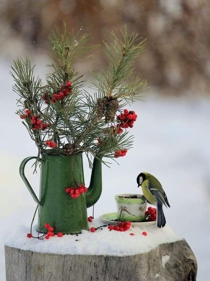 Norway_Pine's tweet photo. https://t.co/uFh1IELJ6n