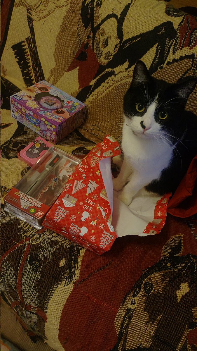 クソガキにもサンタさんが来たぞ