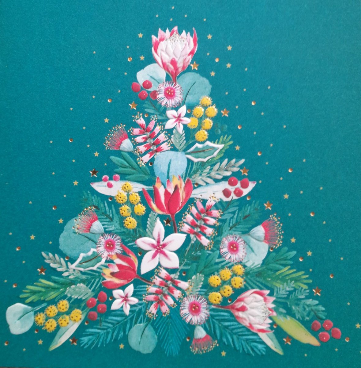 It's Christmas Day in Australia. 🇦🇺 Artist: Julie Kluwer, image size:1179x1200