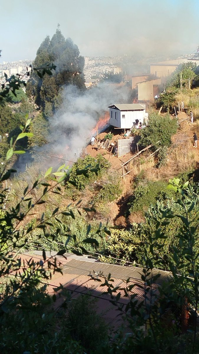 #AHORA: Incendio forestal en Ingeniero Hyatt con Camino Cintura.
