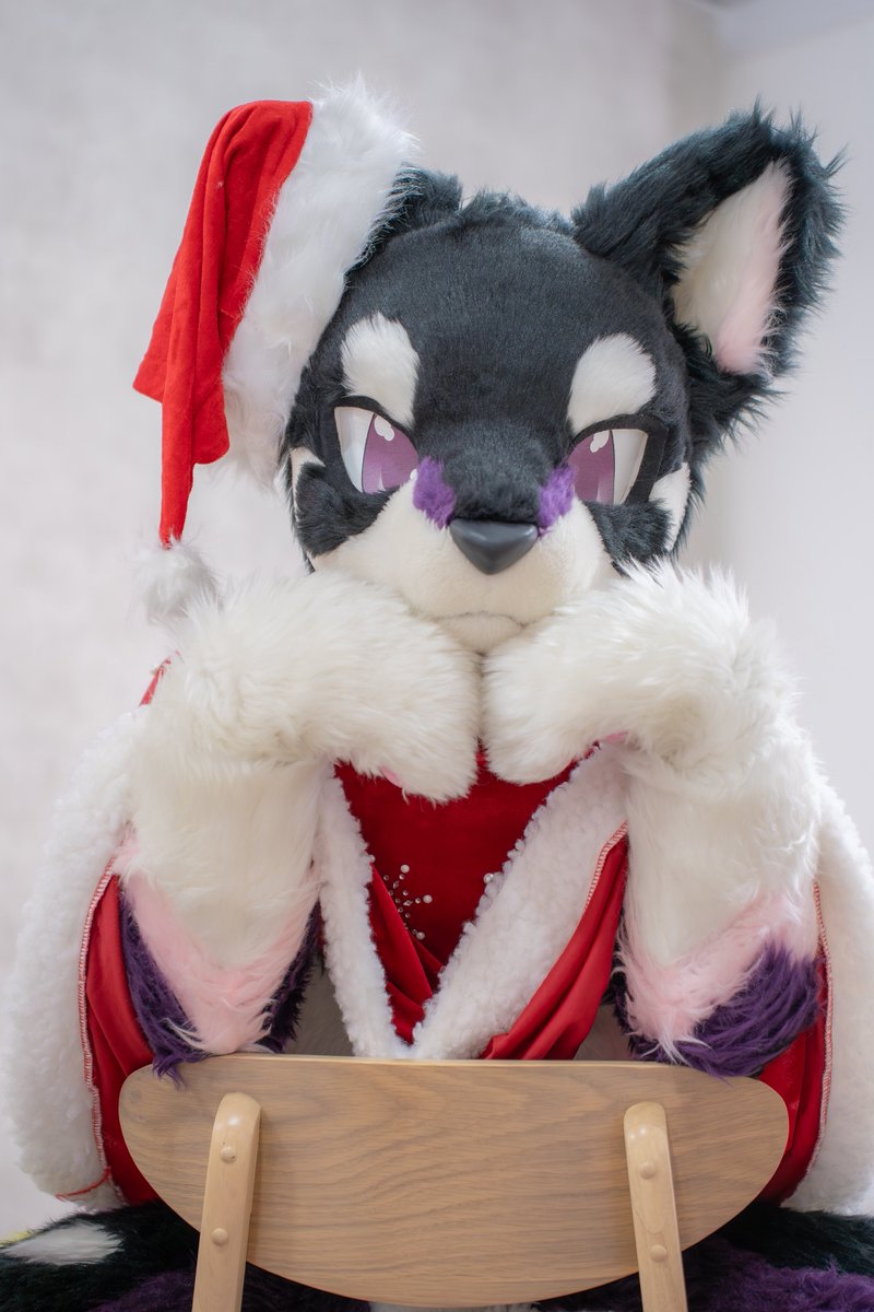 みんなはプレゼント何が欲しいのかなぁ？

ぼくはねぇ........ハンバーグ🥳🥳🥳🎁

 #FursuitsEveryday 
 #僕様クリスマス会