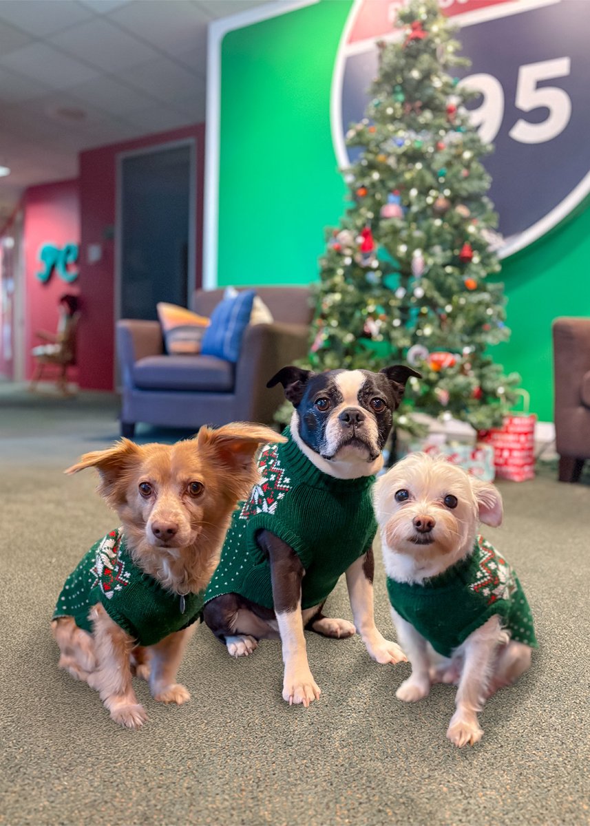 495 Productions tweet media