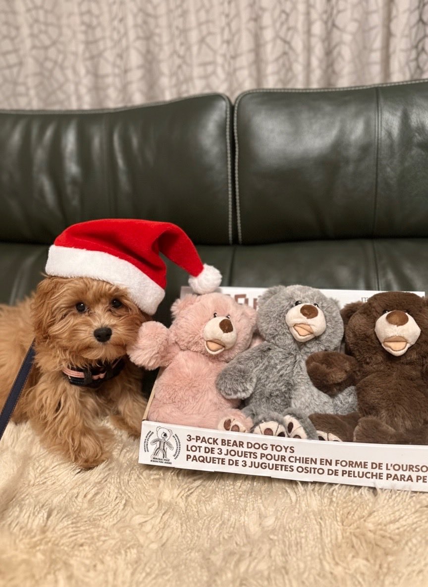 らっちゃんズ (@RawMeat_Lover) / Posts / X