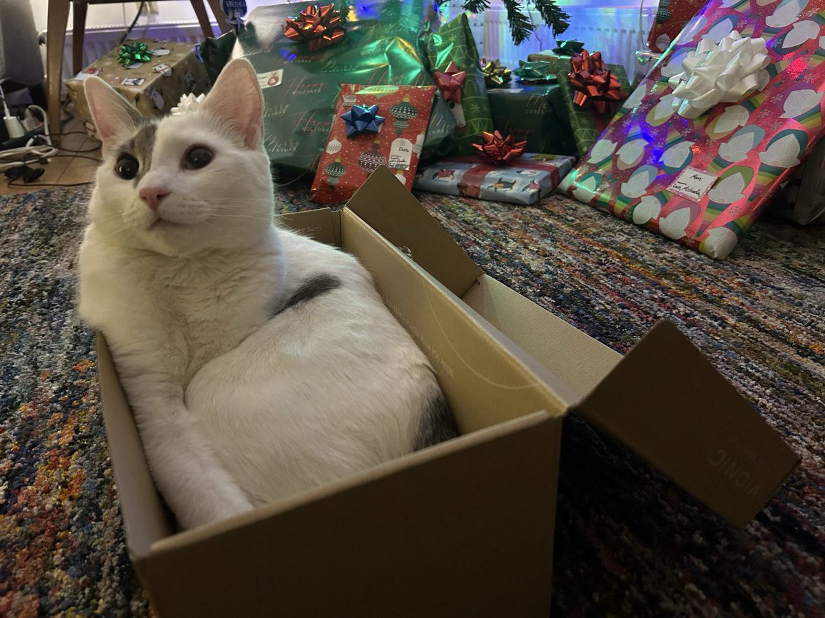 dolores 🤍 bonkers tweet media