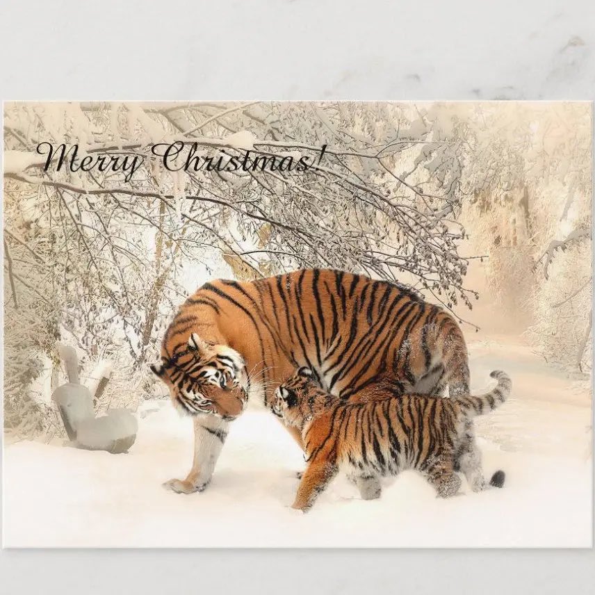 Halls Football tweet media