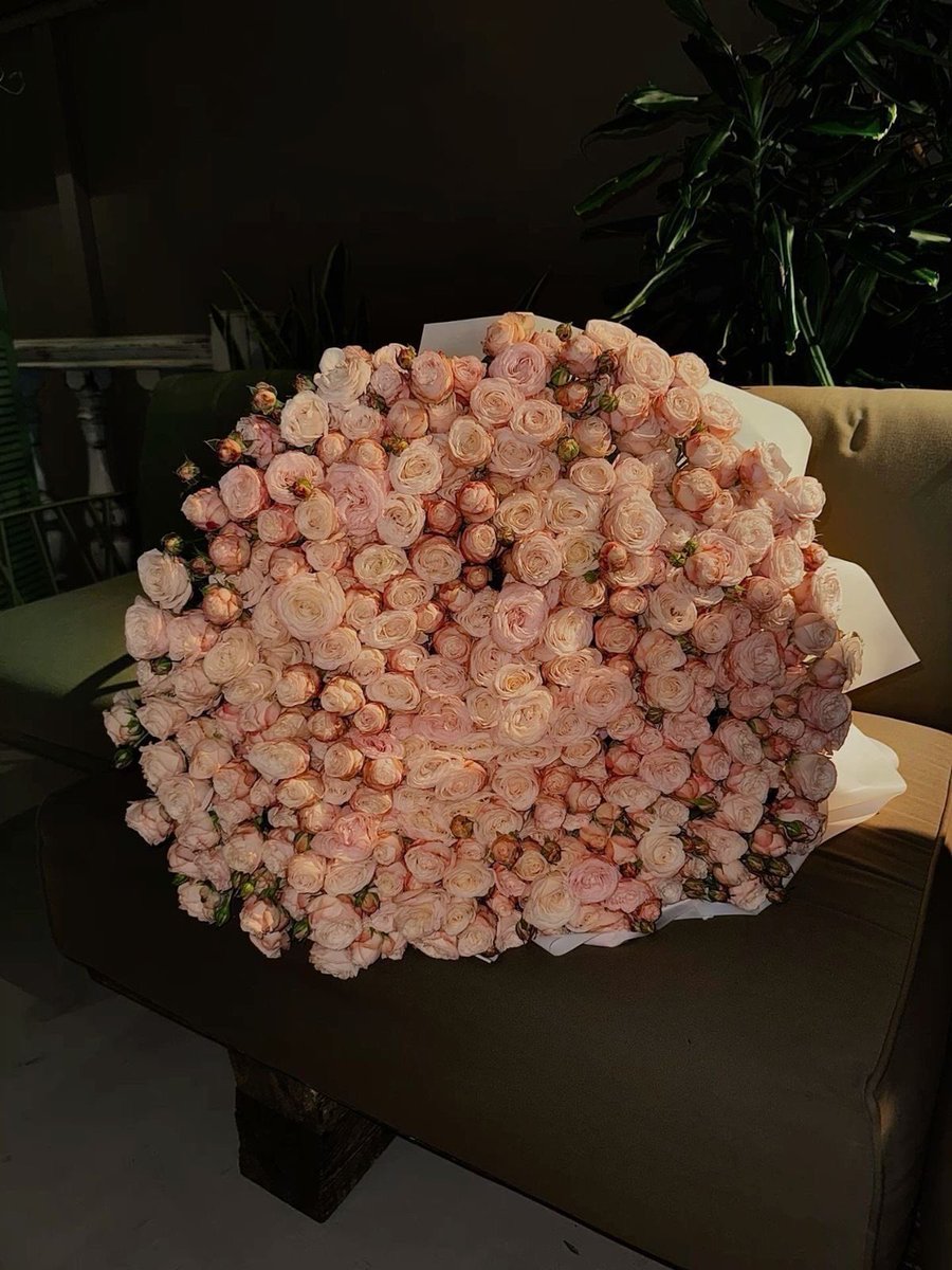 phootoo_'s tweet image. 