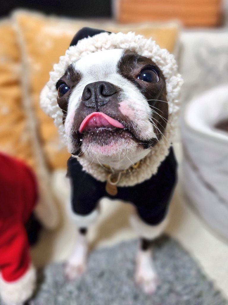 やまちゃんトルツメ (@yamayama0316) / Posts / X