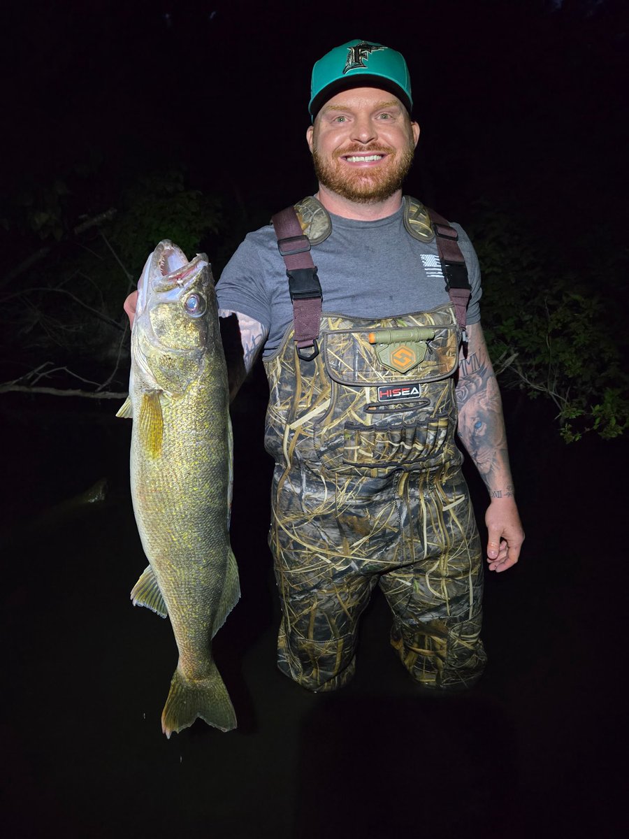 InnessMatt's tweet image. 