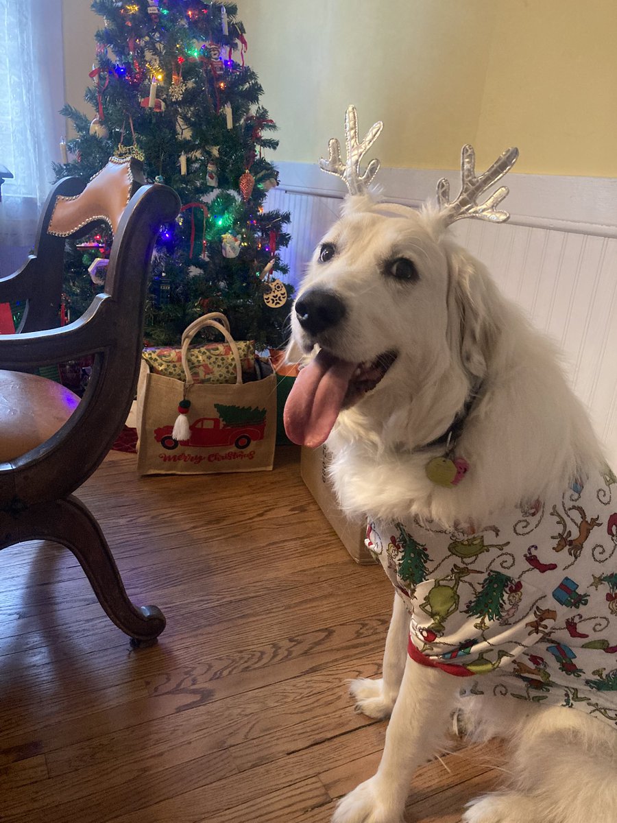 Anna The Pyrenees tweet media