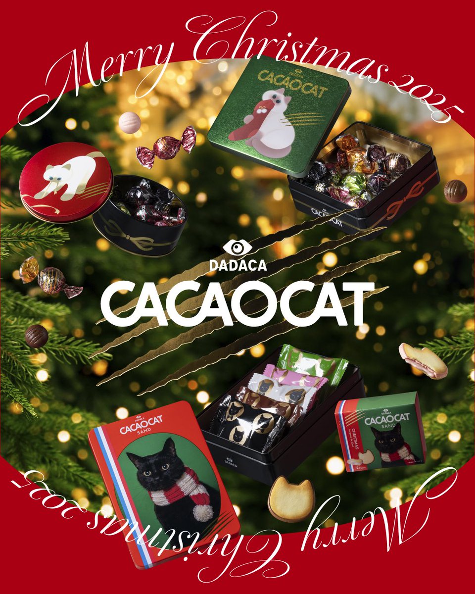 こっこページ 71mW28GmCXL.jpg