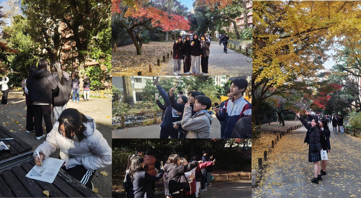 スマホアプリを活用した生態学実習
先々週と先週の２週にわたって、生物基礎の授業で、新宿御苑を利用した森林の階層構造の観察を行いました。樹高計測アプリに加えて、照度計測アプリも活用して観察を行いました。＃都立新宿高校　＃生物基礎