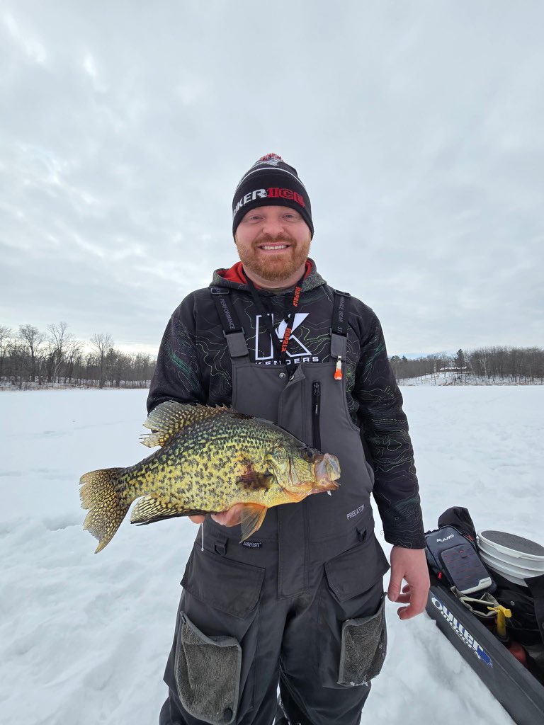 InnessMatt's tweet image. 