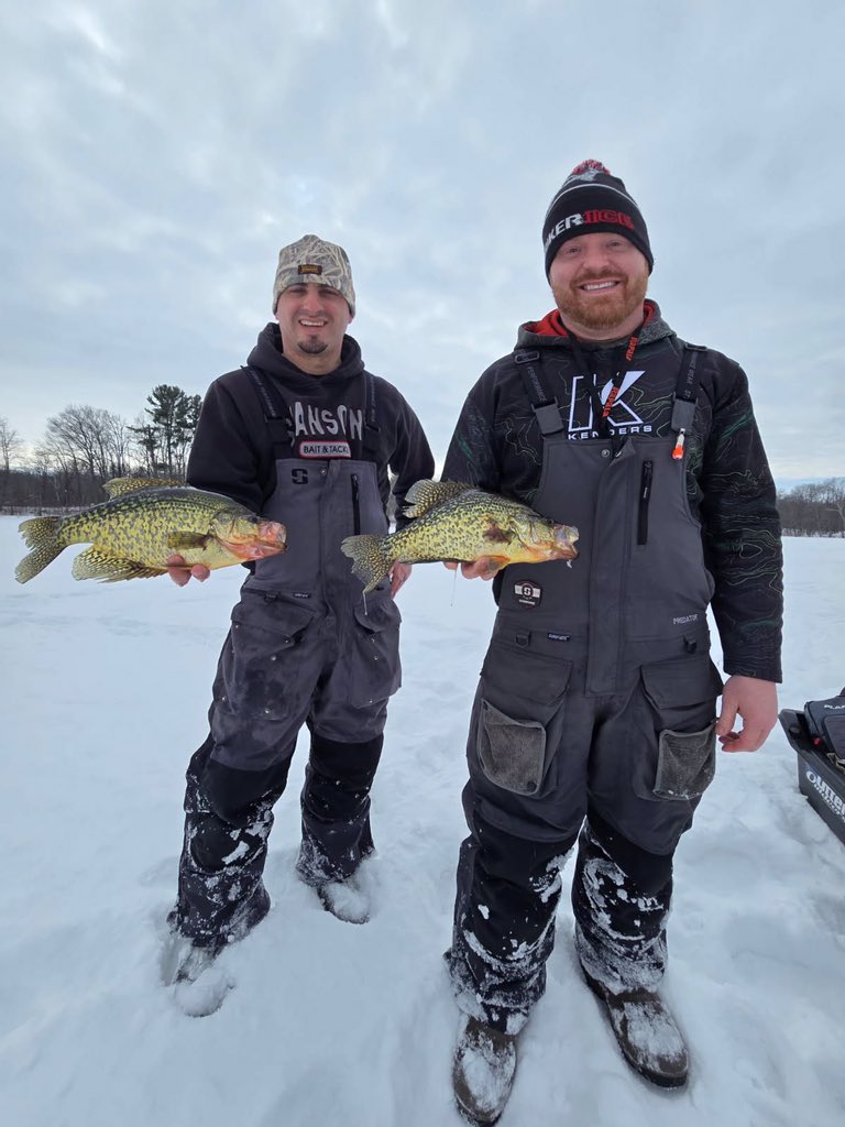 InnessMatt's tweet image. 