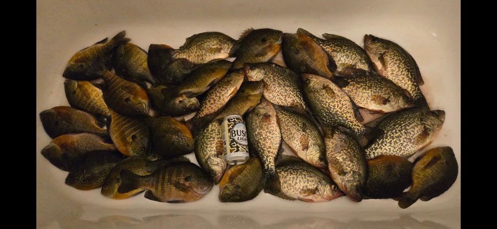 InnessMatt's tweet image. 