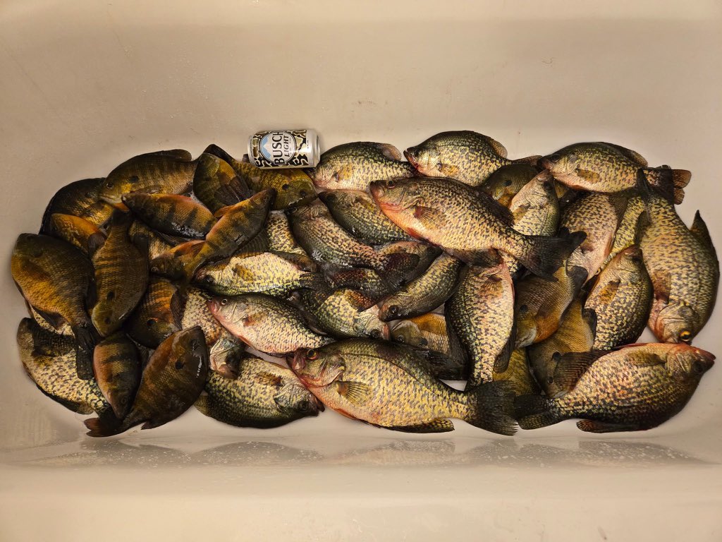 InnessMatt's tweet image. 