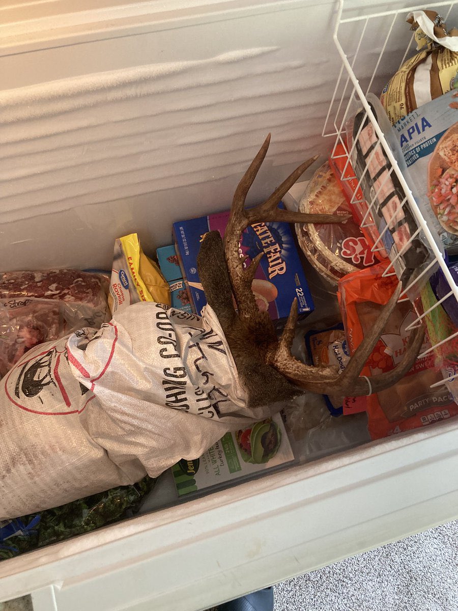 InnessMatt's tweet image. 