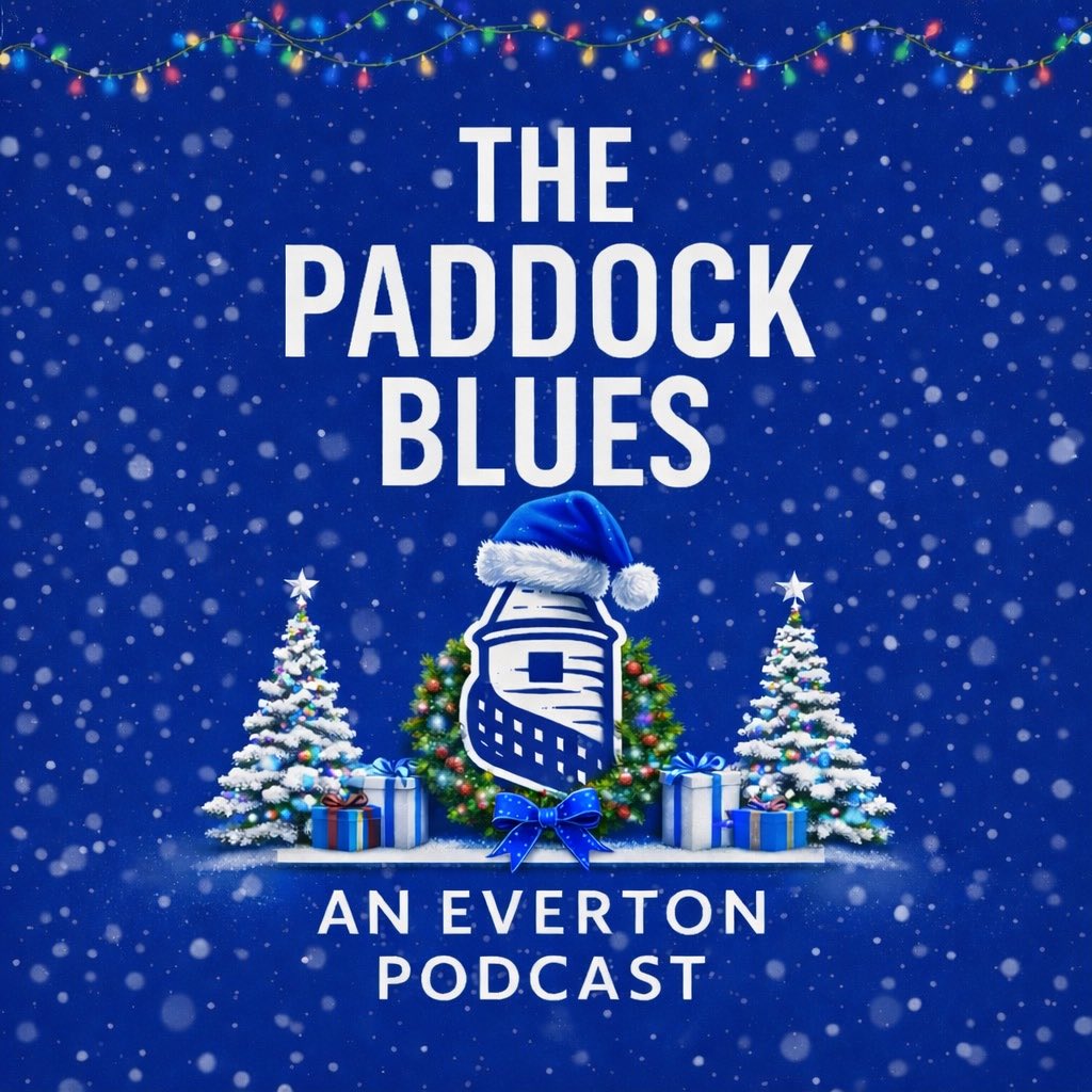 Have a great Christmas blues💙