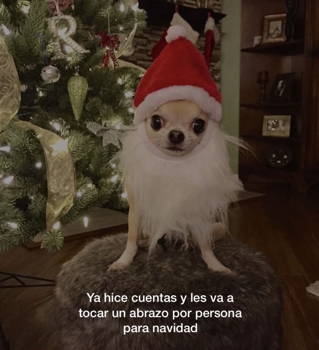 ElPanditaRojo_'s tweet image. 