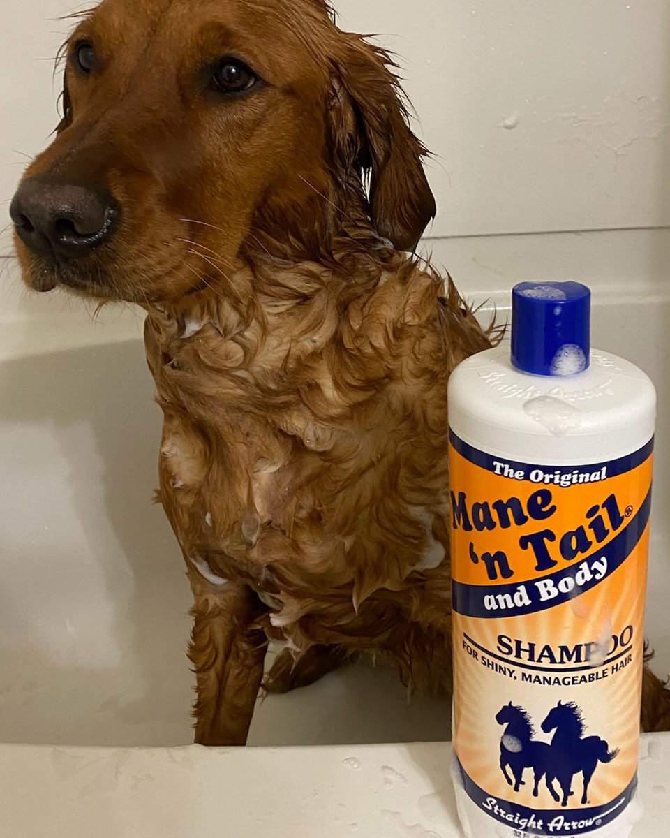 StretchsCurve's tweet image. Need last minute #Christmas🎁 stocking stuffers? Shop @ManenTail online!  #MnTOriginal

Shop🛍️: glnk.io/@stretchscurve