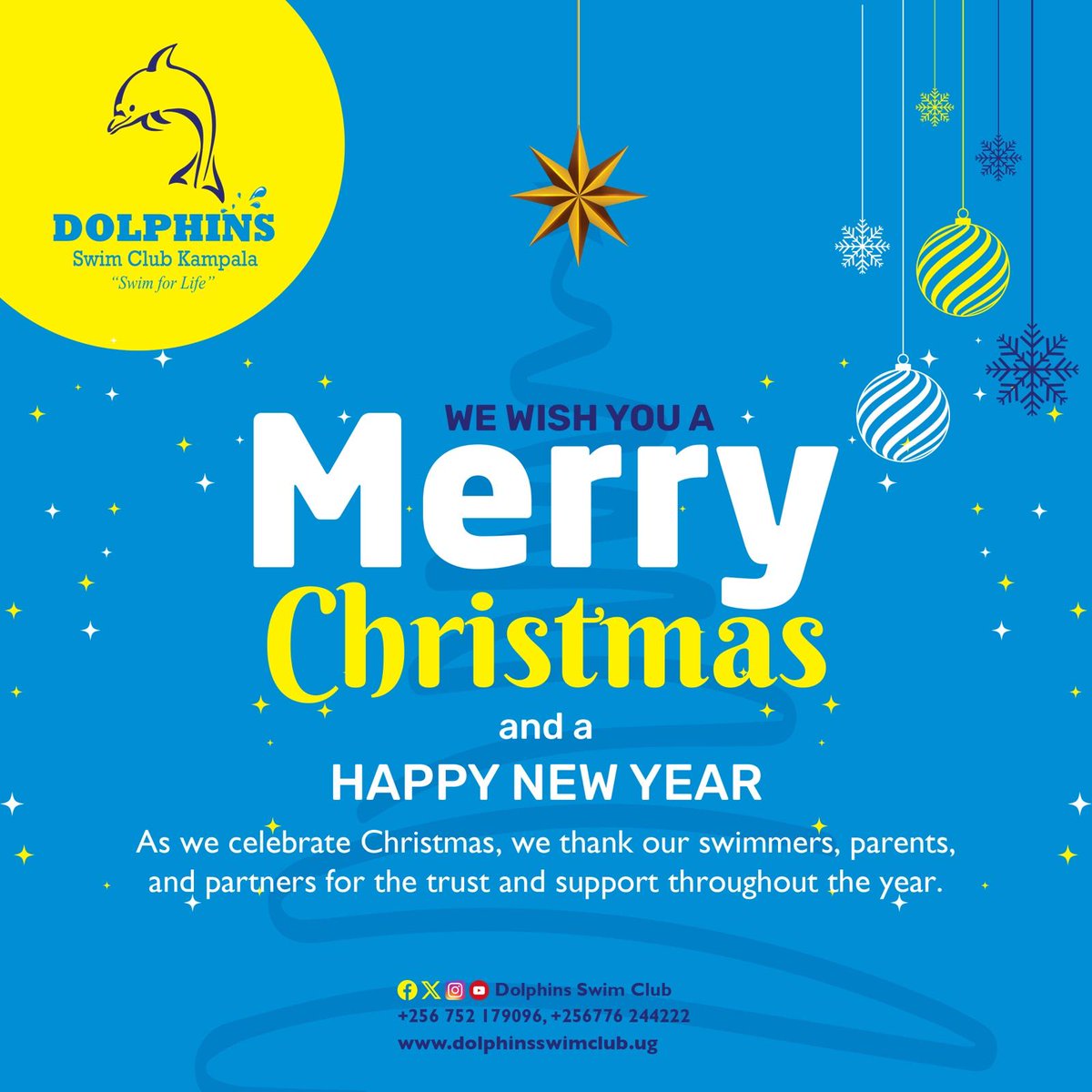 From us to you!🥰🤗
Merry Christmas 🎁🎄
And a Happy New Year 🎊 

#Christmas #Newyear
#Dolphins #swimforlife🏊🌊♥️