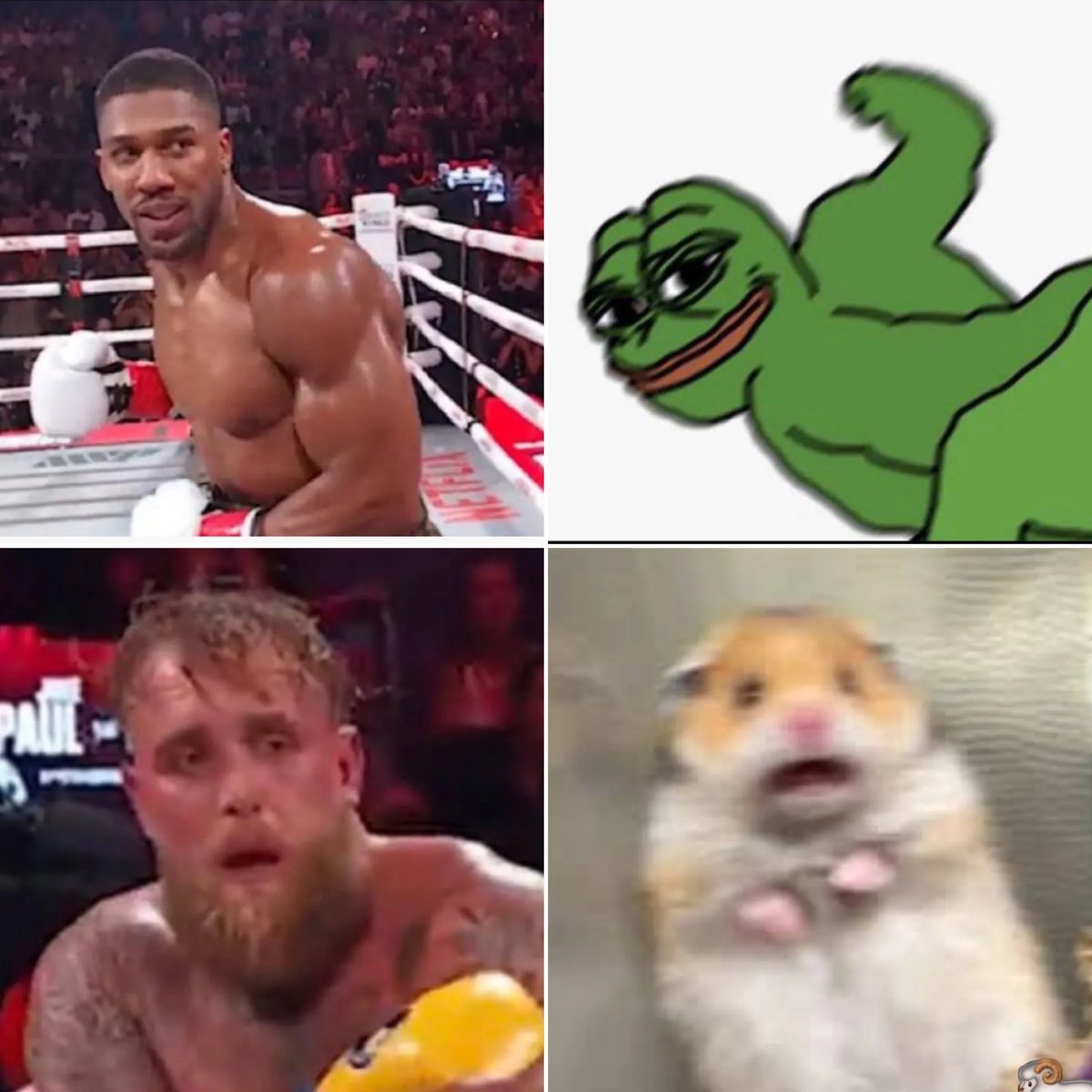 WarriorNight007's tweet photo. @HappyPunch https://t.co/1NjfZQ2gJv