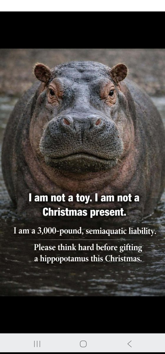 graciemaebeagle's tweet image. Public service announcement:  😆