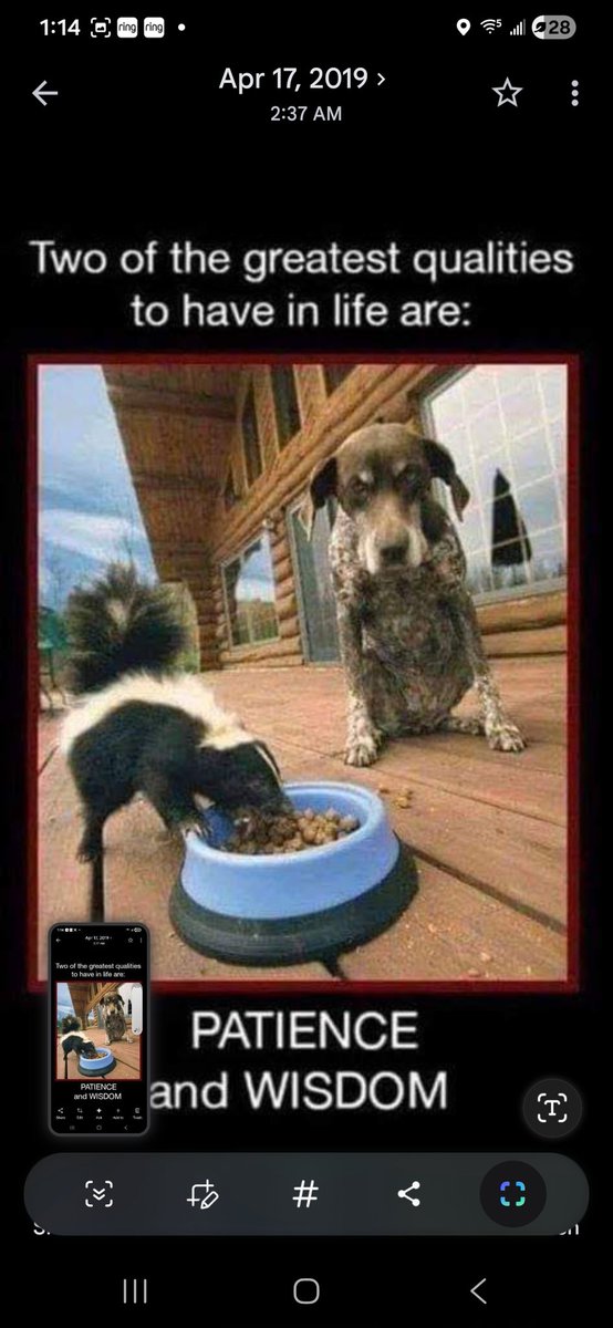 SpenceButler4's tweet image. 