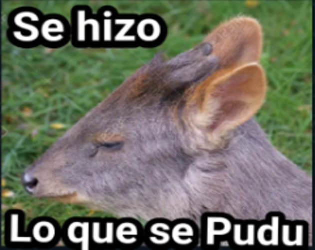 LaPanteraAugust's tweet image. 