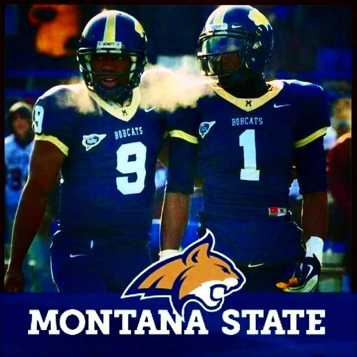 Elvis Akpla tweet media