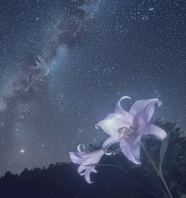 angelpixiebitez's tweet image. Not new to #nsfwtwt
    ˚₊‧꒰ა Pixie ໒꒱ ‧₊˚

24 • She/Her • Pan 
Sub (switch sometimes) 
No tw • Platonic flirt
 
Menu in the making ;3
Here to be hot n have fun 
❤︎ + ↻ for moots