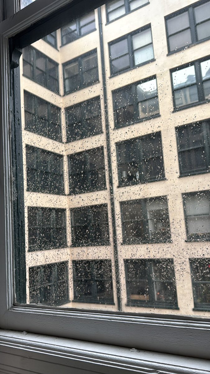 JulianGray's tweet image. This rainy Christmas Eve morning is exactly what I needed. So lovely