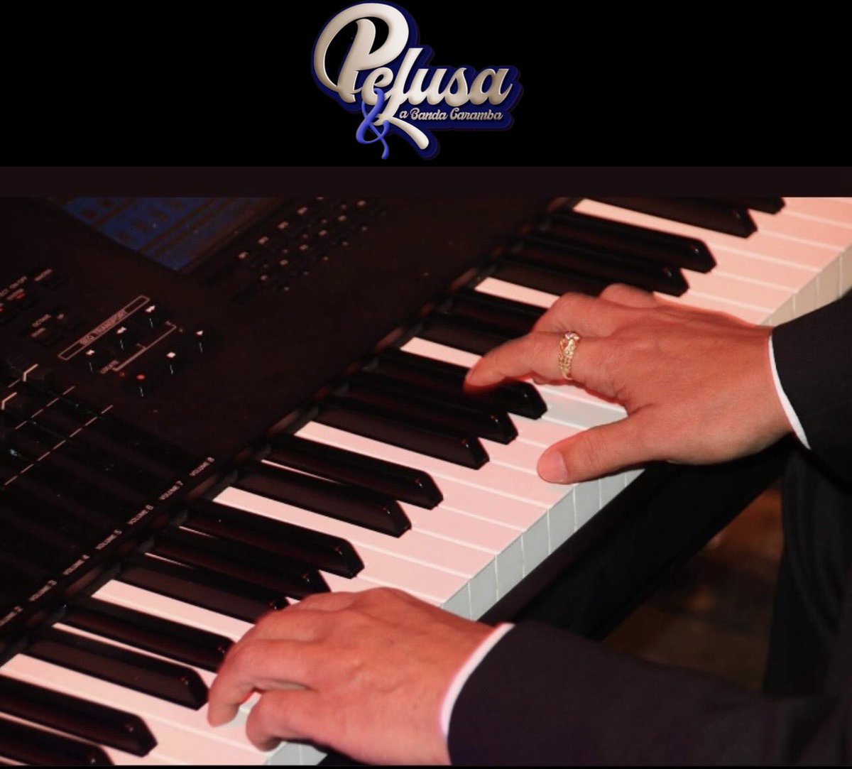 Feliz Navidad a mis amigos Salseros , gracias a todos los que apoyan mi proyecto Pelusa &amp; La Banda Caramba, seguimos creando, proponiendo y creyendo.