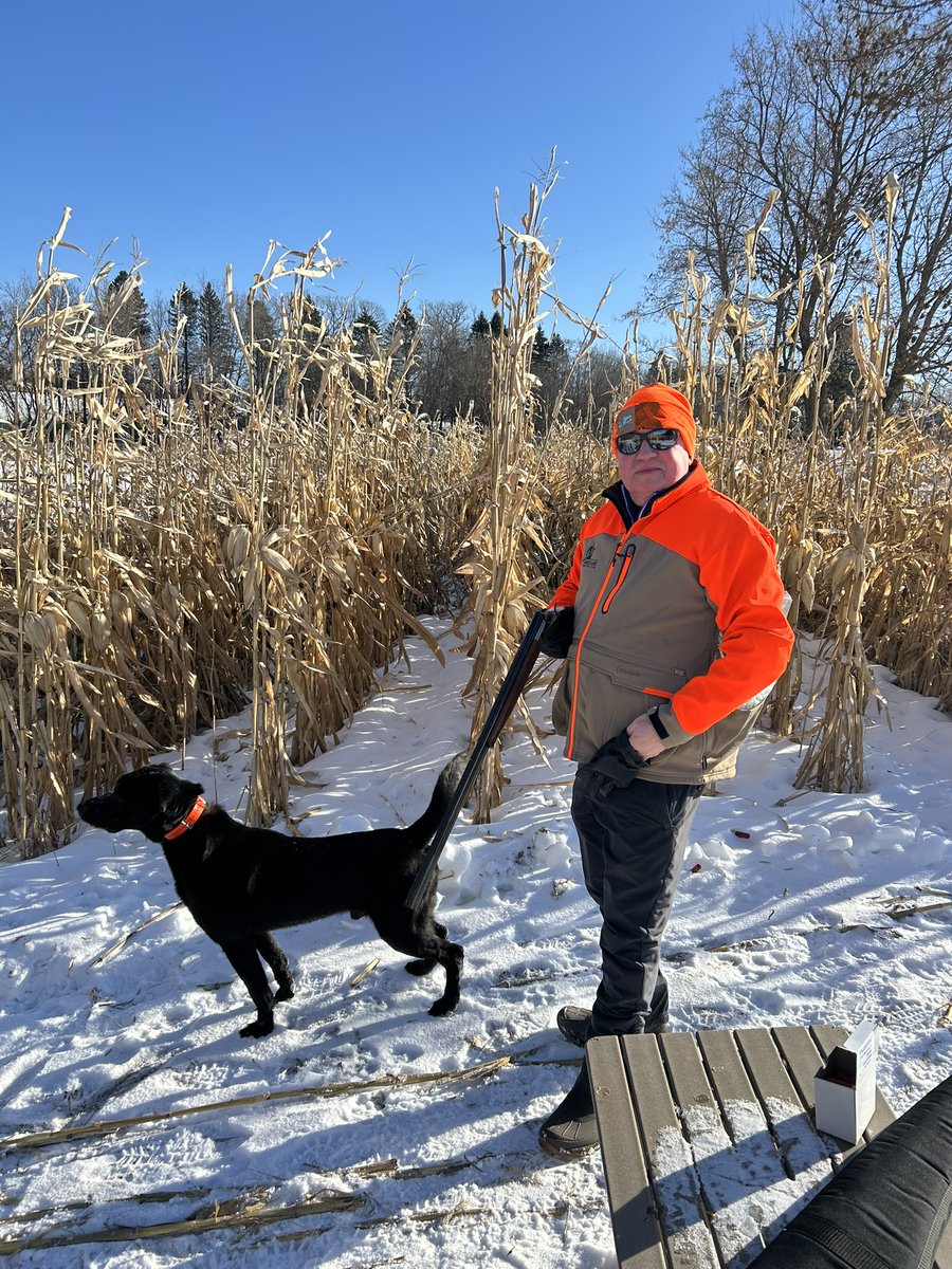 BProducts's tweet photo. Load of the Week: Vectan A0 Powder: 12ga Nickel-Plated Lead Pheasant Loads. Check it out at 
https://t.co/rYkWW1wwng https://t.co/EkhL4rRFHZ