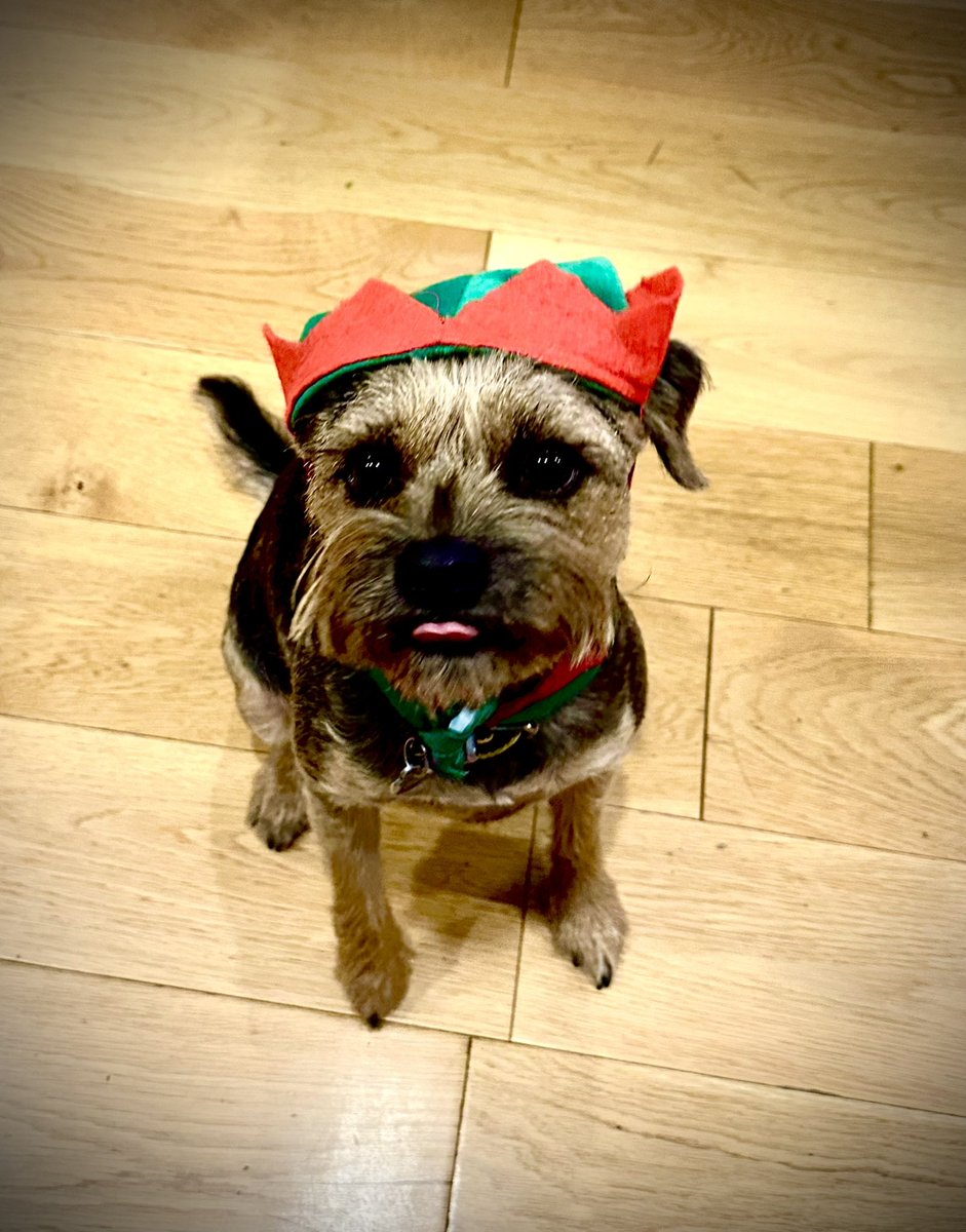 Miss Scraggy Agnes tweet media