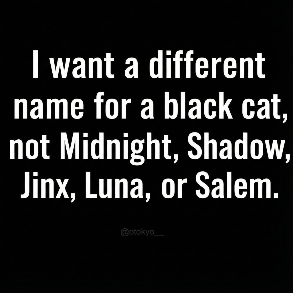 Chef 👩🏻‍🍳 tweet media