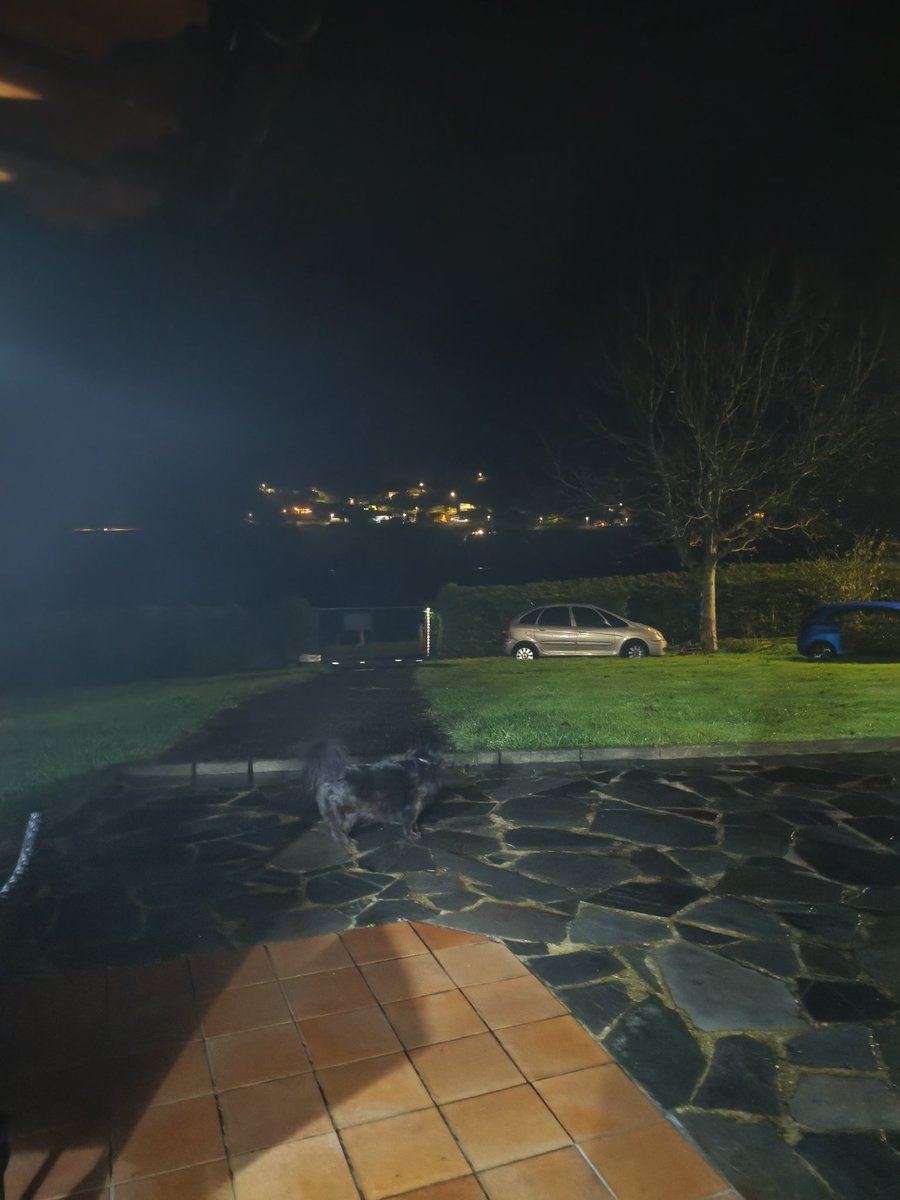 raulderp7 tweet media