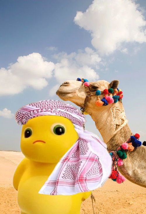 Arab money in $NAILONG?⚡️🦖

_____