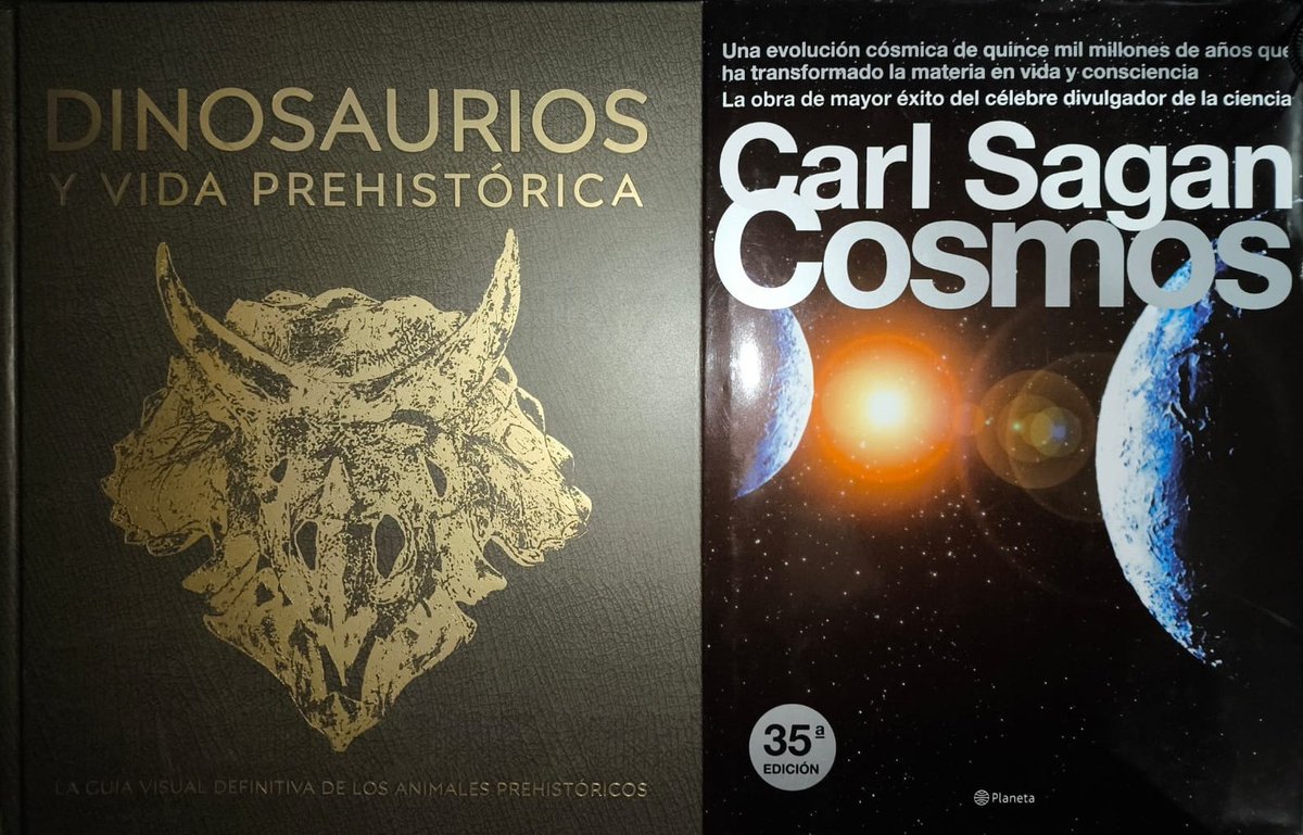 DISASTER BOX tweet media