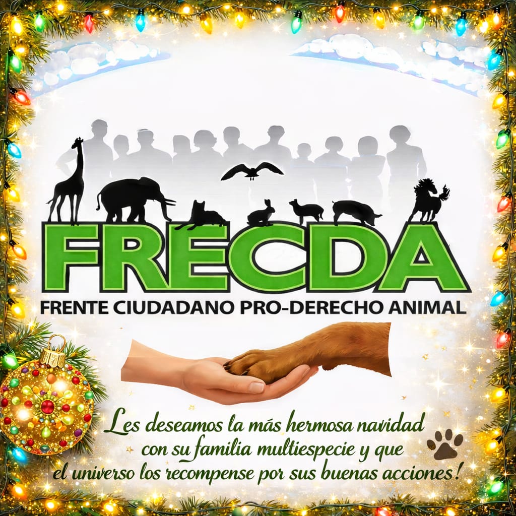 Frecda's tweet image. Que toda la familia animalista del mundo tenga una bella navidad en compañía de sus seres queridos, bendiciones para todas y todos Ustedes.