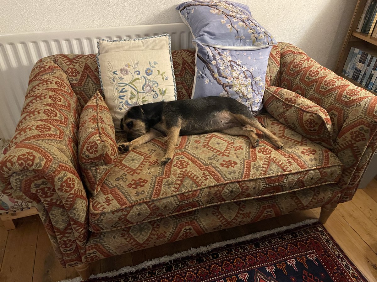 I deserve the whole sofa to myself tonight as I went out hiking with ⁦<a href="/SkipperTheBear/">M’Lord Skipper & The Lady Fargo of Sussex</a>⁩ and Miss Fargo who is now as tired as I am zzzzz