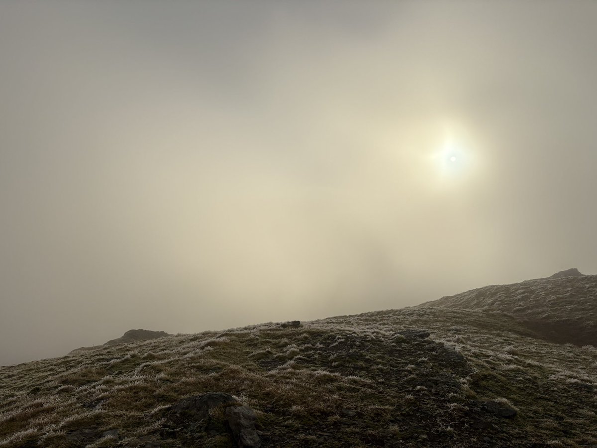 Gordon Murray tweet media